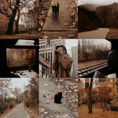 One Direction Fall Aesthetic, Harry Styles Autumn Aesthetic, Harry Styles Fall Aesthetic, Harry Styles Autumn, Harry Styles Fall, Autumn Moodboard, Autumn Fall Aesthetic, Moleskine Art, Preppy Fall