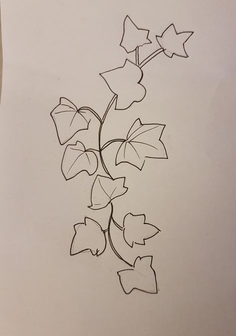 Draw Vines And Leaves, Ivy Drawing Vines, Ivy Drawing Simple, How To Draw Ivy Vines Step By Step, Ivy Sketch, Vines Drawing, Ivy Draw, Vine Drawing, Hedera Helix