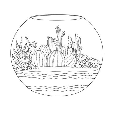 Succulents in a terrarium (illustration for coloring). Terrarium Drawing, Terrarium Illustration, Cactus Terrarium, How To Teach Kids, Plant Pictures, Printed Pages, Small Business Ideas, Business For Kids, Artsy Fartsy