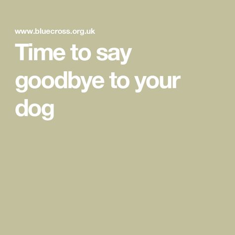 Time to say goodbye to your dog How To Say Goodbye To Your Dog, To Say Goodbye, Losing A Dog, Saying Goodbye, Say Goodbye, To Sleep, A Dog, Sleep, Reading