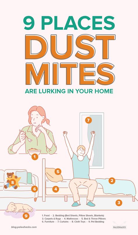 Dust Mite Allergy, Itchy Nose, Rid Of Bed Bugs, Dust Allergy, Allergy Remedies, Asthma Symptoms, Pollen Allergies, Allergy Symptoms, Healthy Liver