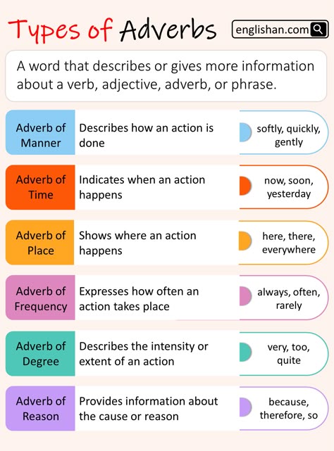 Types of Adverb What Are Adverbs, Adverbs And Adverbial Phrases, Types Of Adverbs Worksheet, Adverbs Types, Adverbs Activities, Adverb Examples, Types Of Adverbs, Verbs And Adverbs, Adverbs Worksheet