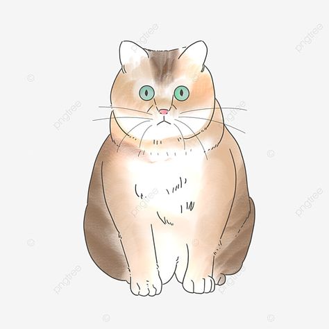 Fat Cats, White Cat, How To Draw Hands, Humanoid Sketch, Anime, Art