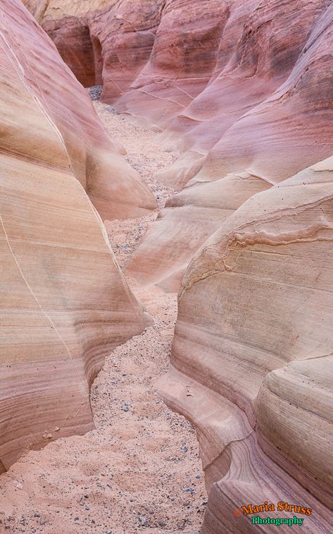 Pink Canyon, Limestone Rock, Valley Of Fire State Park, Nevada Travel, Yellow Pastel, Slot Canyon, Valley Of Fire, Rock Formations, Desert Rose