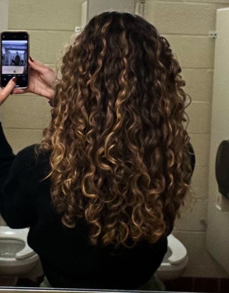 Curly Hair Dark Roots Light Ends, Dark Brown Hair Color Ideas Summer, Highlights And Lowlights On Brown Hair, Curly Lowlights, Curly Highlights Caramel, Lowlights Curly Hair, Caramel Brown Curly Hair, Curly Hair Lowlights, Caramel Highlights Curly Hair