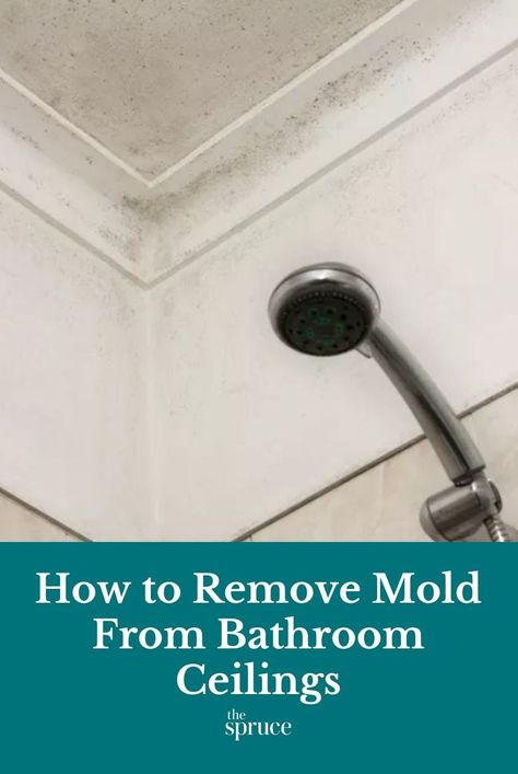 Bathroom Mold Cleaner, Cleaning Bathroom Mold, Cleaning Shower Mold, Mold On Bathroom Ceiling, Bathroom Ceilings, Ceiling Tiles Bathroom, Clean Black Mold, Bathroom Mold Remover, How To Remove Mold