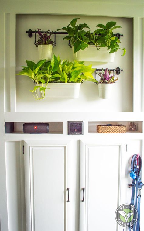 Hanging Plants In Rv, Rv Plants, Camping Essentials List, Rv Upgrades, Camping Diy, Rv Camping Checklist, Kayak Camping, Hanging Plants Indoor, Rv Renovations