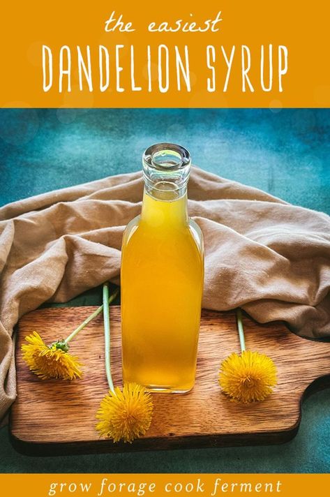 Explore the dandelion syrup recipe from our dandelion recipes collection. This syrup uses fresh dandelion blossoms to create a sweet, honey-flavored addition to drinks and desserts. It's a delightful way to embrace the springtime bounty. Perfect for enhancing everything from teas to waffles. Find more medicinal flowers, foraging recipes, and healing herbal infusions at growforagecookferment.com. Dandelion Syrup, Medicinal Flowers, Dandelion Salad, Roasted Dandelion Root, Rhubarb Syrup, Wild Food Foraging, Dandelion Tea, Foraging Recipes, Dandelion Jelly