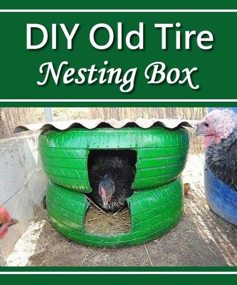 DIY Old Tire Nesting Box Tire Nesting Boxes, Chicken Dust Bath, Homestead Lifestyle, Duck Stuff, Reuse Old Tires, Tire Swings, Nest Boxes, Chicken Poop, Chicken Nesting Boxes