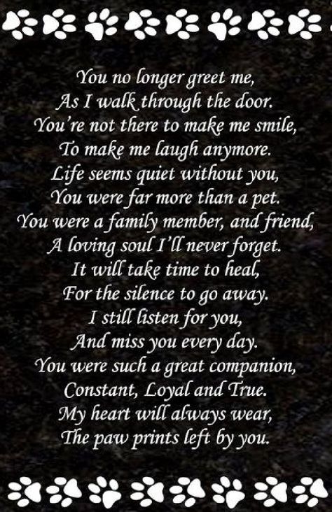 Dog Heaven Quotes Miss You, Pet Memorial Poems, What To Do When Your Dog Dies, Dog Memory Quotes, My Dog Died Quotes, Losing A Dog Quotes, Losing A Pet Quotes, Pet Quotes Dog, Dog Heaven Quotes