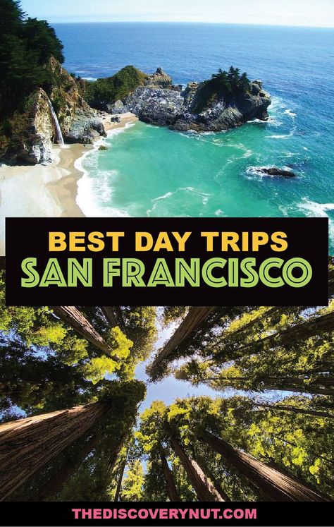 From secluded Northern California beaches to towering redwoods and snow-capped mountains, discover some of the best day trips from San Francisco. Best Weekend Trips, Quick Weekend Getaways, Best Weekend Getaways, The Best Day, California Travel, Weekend Trips, Northern California, Weekend Getaways, Vacation Spots