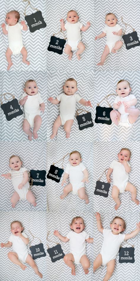 reese months 1-12 collage document the baby months Month Photos, Monthly Baby Pictures, Monthly Pictures, Baby Milestone Photos, Baby Fotografie, Monthly Baby Photos, By The Numbers, Baby Monthly Milestones, Baby Growth