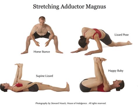 Adductor Workout, Muscle Stretches, Yoga Anatomy, Bikram Yoga, Hip Openers, Bodyweight Workout Beginner, Yoga Teachers, Stretching Exercises, Hip Flexor