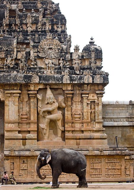 Elephant shows scale. The Peruvudaiyar Kovil, also known as Brihadeeswara Temple, RajaRajeswara Temple and Rajarajeswaram at Thanjavur in the Indian state of Tamil Nadu, is a Hindu temple dedicated to Shiva and an art of the work achieved by Cholas in Tamil architecture. The temple is part of the UNESCO World Heritage Site "Great Living Chola Temples" Tanjore Temple, Arte Yoga, Temple India, Amazing India, Indian Architecture, Ancient India, Hindu Temple, Paradise Island, Bhutan