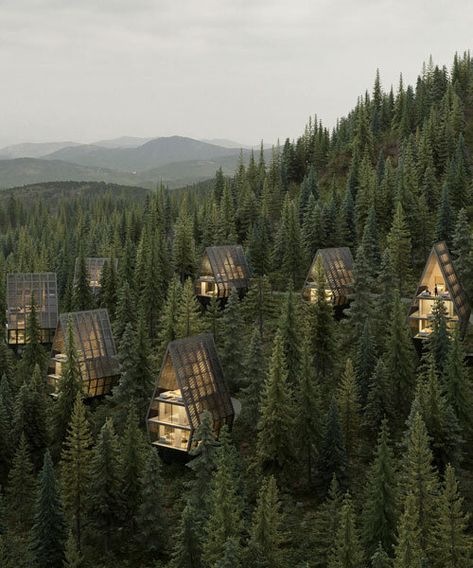 peter pichler scatters alpine cabins for YOUNA resort concept Forest Glamping, Mountain Resort Design, Resort Concept, Alpine Hotel, Forest Hotel, Forest Resort, Mountain Villa, Tree Interior, Mountain Hotel