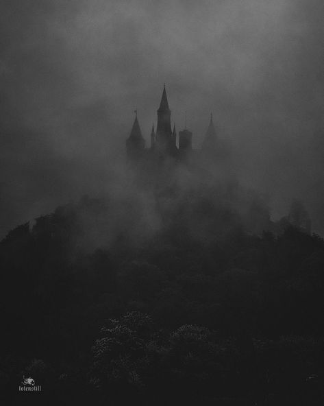 Gothic Castle Aesthetic, Victorian Gothic Aesthetic, Dark Windows, Medieval Aesthetic, Ball Aesthetic, Dark Castle, Gothic Castle, Black Castle, Castle Aesthetic