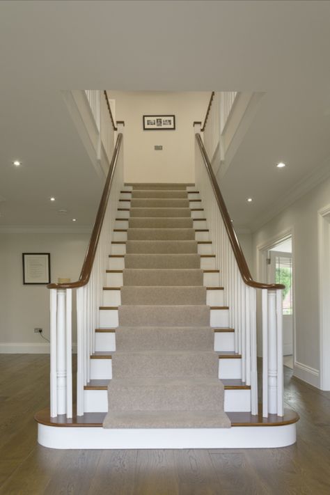 At Multi-Turn, we take pride in crafting staircases that stand the test of time. This elegant volute handrail staircase is a testament to our commitment to quality, featuring premium materials and impeccable craftsmanship. Discover the difference of true quality with Multi-Turn.

#TimelessCraftsmanship #QualityStaircases #ElegantDesign Staircase White And Wood, Stair Way, U Shaped Staircase, Steps Design, Elegant Design, Stairs, Turn Ons, Wood, Home Decor