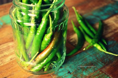 How to: Pickled Green Hot Chili Peppers | Culinary Epiphany Green Pepper Recipes, Pepper Recipes, Green Chili Peppers, Hot Green, Green Chili, Hottest Chili Pepper, Peppers Recipes, Chili Peppers, Hot Chili