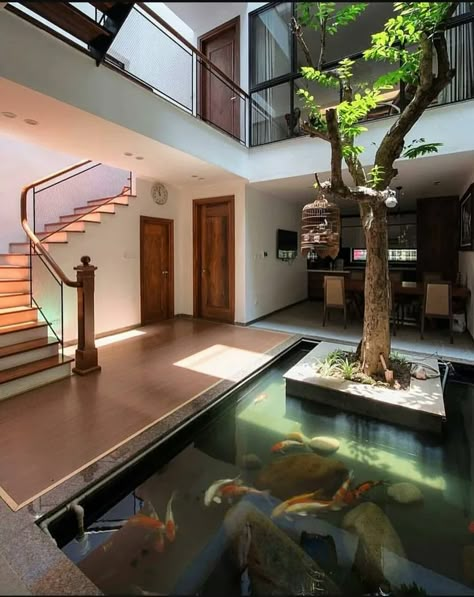 Modern home with tree and Koi pond - 9GAG Kolam Koi, Aesthetic Interior Design, Aquarium Ideas, Patio Interior, Dream House Rooms, Fish Pond, Koi Pond, Dream House Interior, Dream House Exterior