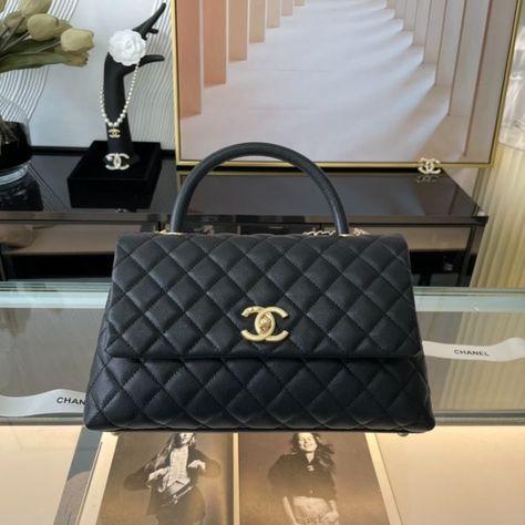 29cm Coco Handle, Chanel Bags, Sierra Leone, Chanel Bag, Givenchy, Luxury Bags, Balenciaga, Fashion Bags, Chloe