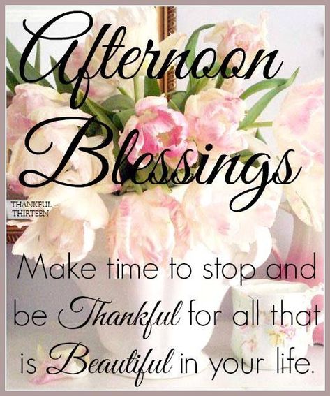 Afternoon Blessings Have A Nice Afternoon, Afternoon Blessings, Afternoon Greetings, Afternoon Messages, Good Afternoon Quotes, Evening Quotes, Afternoon Quotes, Greetings Images, Happy Wishes