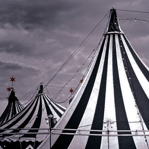 Circus Tents, Black And White Clown, Fan Casting, The Night Circus, Circus Aesthetic, Book Of Circus, Dark Circus, Dream Cast, Circus Circus