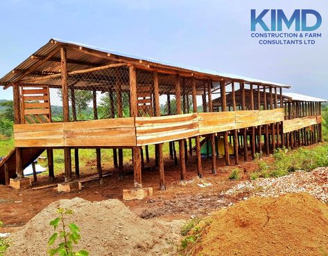 This structure can accommodate 300goats. If interested in watching our work please come and watch our video content on our YouTube channel. Goat Structures, Sheep House, Animal Farming, Farm Management, Aqua Farm, Goat Shed, Goat Shelter, Goat Pen, Farming Ideas