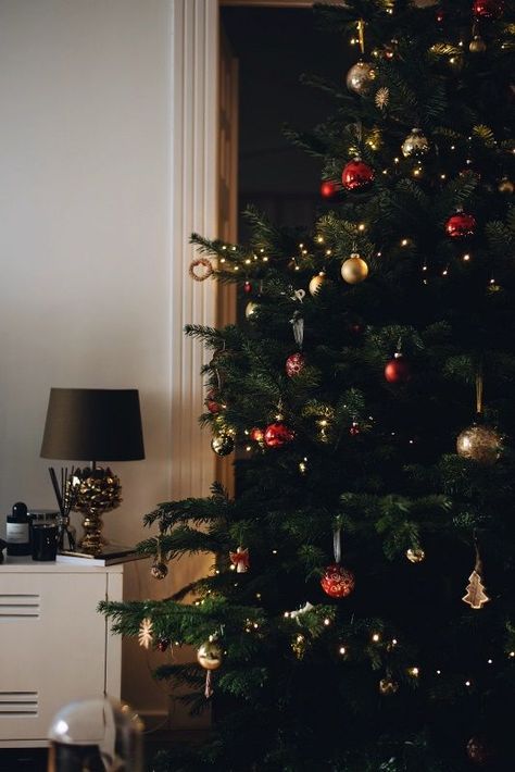 Jungkook 2020, Christmas Tree Inspiration, Christmas Feeling, Christmas Inspo, Merry Little Christmas, Christmas Mood, Holiday Inspiration, Christmas Love, Christmas Table Decorations