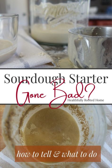 Sourdough Bread Starter, Dough Starter, Homemade Sourdough Bread, Bread Starter, Sourdough Starter Recipe, Wild Yeast, Free Lifestyle, Sourdough Baking, Sourdough Bread Recipe