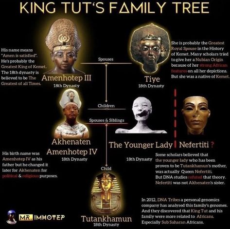 Are you related to King Tut? 𓂀 #kingtut #tutankhamun #egyptian African Traditional Religions, Egyptian Drawings, African History Truths, Kemetic Spirituality, Kemet Egypt, Revelation Bible, Image King, Ancient Egypt History, Ww1 Aircraft