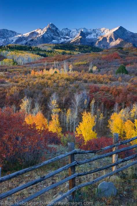 Autumn colors, Dallas Divide, Colorado. Colorado Prints, San Juan Mountains Colorado, Colorado Aesthetic, Colorado Photos, Rocky Mountains Colorado, Gunnison National Park, Mountains Colorado, Colorado Fall, Crested Butte Colorado