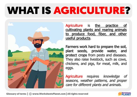 Agriculture Projects, Modern Agriculture, Agricultural Science, Agricultural Practices, Weather Patterns, Charts For Kids, Writing Project, Different Plants, Planting Seeds