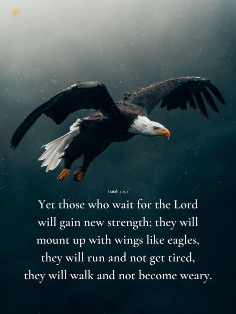 Wait For The Lord, Wings Like Eagles, Eagles Wings, Isaiah 40 31, Bible Verses Quotes Inspirational, American Patriot, Scripture Verses, Bible Verses Quotes, Bald Eagle