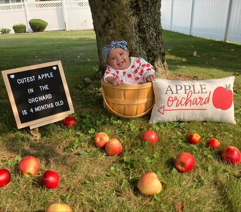 Apple Milestone Pictures, 6 Month Board Photo Ideas, 4 Month Milestone Pictures, Newborn Apple Photoshoot, Halloween 4 Month Old Pictures, Apple Picking Photoshoot Baby, September Milestone Pictures, 4 Month Old Photo Shoot Ideas At Home, Apple Orchard Photoshoot Baby