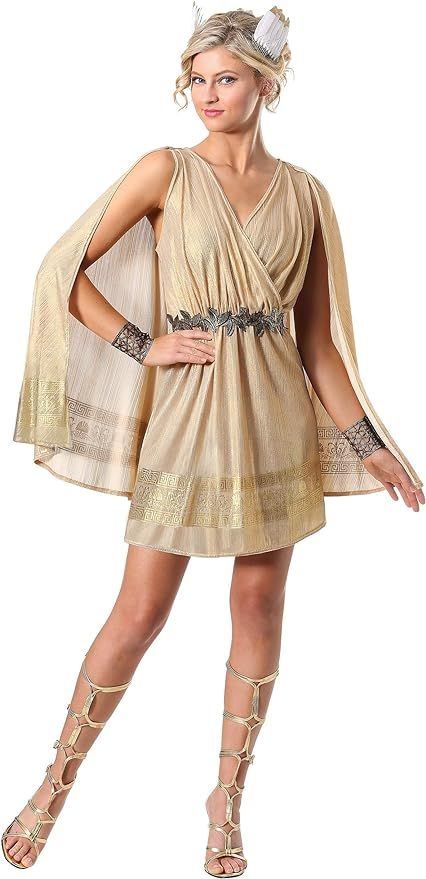 Amazon.com: Women's Radiant Goddess Costume : Clothing, Shoes & Jewelry Roman Goddess Costume, Mythology Costumes, A Game Of Clothes, Game Of Clothes, Greek Goddess Costume, Goddess Costume, Small Women, Feathered Hairstyles, Large Dress