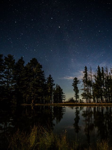 Forest Sky Aesthetic, Night Forest Landscape, Forest Night Photography, Night Forest Photography, Night Sky Reference, Night Aesthetic Forest, Night Aesthetic Landscape, Forest At Night Aesthetic, Forest Night Aesthetic