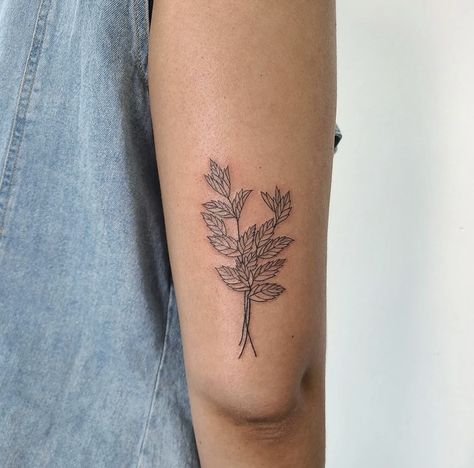 Mint Sprig Tattoo, Mint Plant Tattoo, Lemon Balm Tattoo, Mint Leaves Tattoo, Mint Leaf Tattoo, Ally Tattoo, Mint Tattoo, Lucky Cat Tattoo, Plant Tattoos