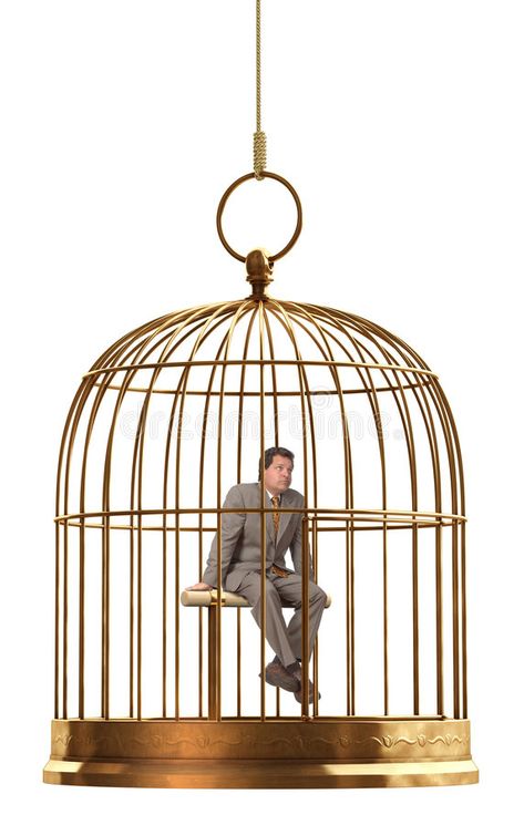 Bird Cage. A brass birdcage hanging on a string over white , #sponsored, #brass, #Cage, #Bird, #birdcage, #white #ad Martha Beck, Bail Bondsman, Cabinet Of Curiosity, Jesus Paid It All, Gain Knowledge, Watercolour Inspiration, Ventura County, County Jail, Bird Cages