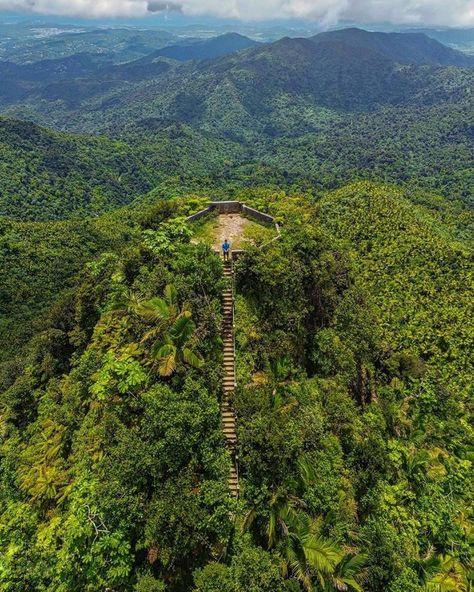 Mochileros PR - 📍El Yunque 🇵🇷 📸 @elojoboricua 👉🏻ᴜᴛɪʟɪᴢᴀ... | Facebook El Yunque Puerto Rico, Puerto Rico El Yunque, Rio Grande, Puerto Rico, Travel, Instagram