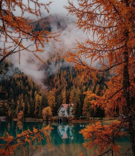 The Autumn Coven 🍁 - Amy Allen | 🍂 Golden leaves twirl down, a soft, whispered ballet, Mugs of steaming tea on the railing sway, Wrapped in a knit blanket’s warm… | Instagram Fall In The Mountains, Italy Fall, Amy Allen, Amber Tree, Dolomites Italy, Autumn Foliage, Golden Leaves, Fall Aesthetic, Winter Aesthetic