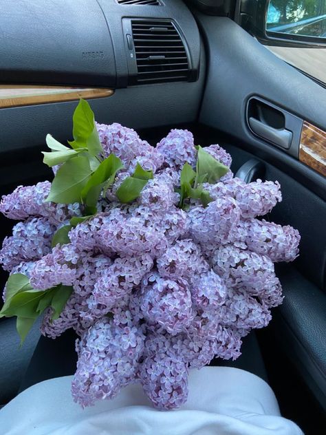 Lilac Bouquet, Luxury Flower Bouquets, Boquette Flowers, Flowers Bouquet Gift, Nothing But Flowers, Flower Therapy, Beautiful Bouquet Of Flowers, Luxury Flowers, Pretty Plants