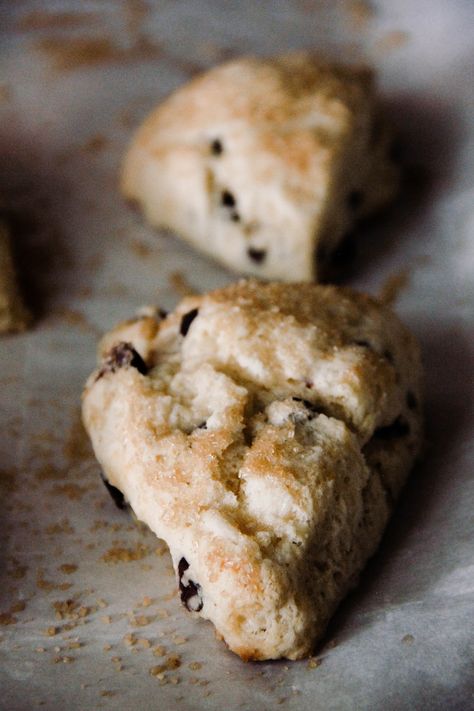 Chocolate Chip Scones With Turbinado Sugar Topping | Home On Oak Turbinado Sugar Recipes, Turbinado Sugar, Pumpkin Chocolate Chips, Scone Recipe, Chocolate Treats, Semisweet Chocolate, Scones, Recipe Using, No Bake Desserts