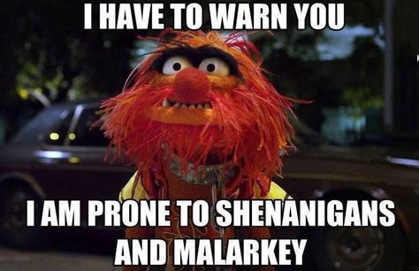 I'm prone to shenanigans and malarkey What I Like About You, Fraggle Rock, Twisted Humor, Try Not To Laugh, Work Humor, Sarcastic Quotes, Funny Signs, Bones Funny, Make Me Smile