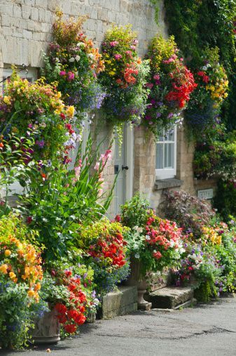 Flower Basket Ideas, Hanging Flower Basket, Outdoor Sitting, Sitting Areas, Garden Basket, Brick Ranch, Traditional Cottage, Flower Baskets, Hanging Flower Baskets