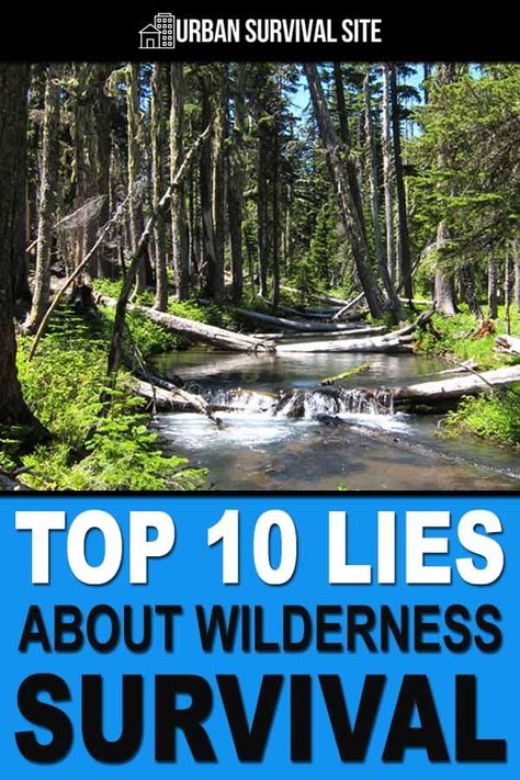 Wilderness Survival Tips, Survival Crafts, Forest Survival Tips, Survival In The Wild, How To Survive In The Wilderness, Wilderness Survival Tools, Survival Recipes, Wilderness Survival Shelter, Shtf Survival