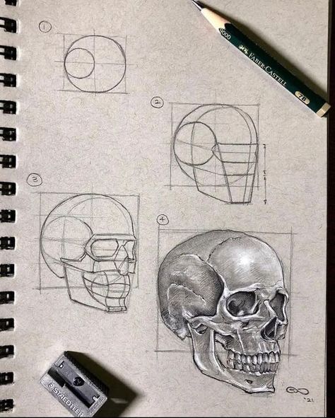 Skull Drawing Sketches, Skull Sketch, Skeleton Drawings, Skull Art Drawing, Skulls Drawing, 얼굴 그리기, Human Anatomy Art, Human Head, Skull Drawing