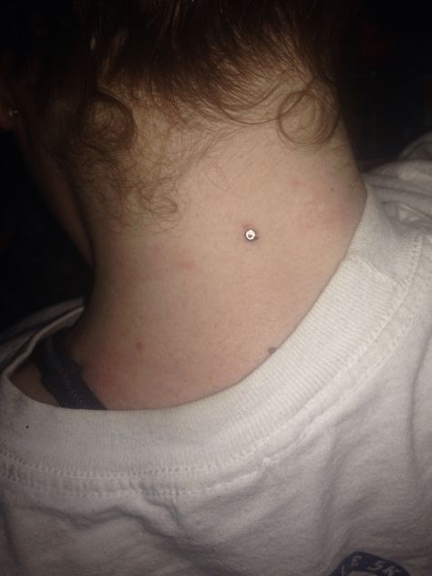 Dermal piercing on my neck Spouse Tattoos, Nape Piercing, Small Friendship Tattoos, Neck Piercing, Small Face Tattoos, Small Best Friend Tattoos, Wrist Tattoos Words, Indie Tattoo, Girl Neck Tattoos