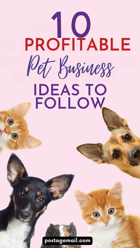 Are you passionate about pets and eager to turn that love into a thriving business? You’re in the right place! This guide explores 10 lucrative pet business ideas that you can start today. Whether you dream of offering grooming services, creating healthy pet food, launching a pet-sitting service, or starting a rewarding pet keepsake business, there’s an opportunity waiting for you. Pet Business Ideas, Business Ideas To Start, Pet Sitting Services, Pet Keepsake, Pet Businesses, Thriving Business, Healthy Pets, Pet Sitting, Service Animal