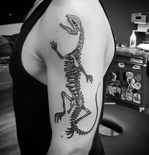 Crocodile Skeleton Tattoo, Alligator Skeleton Tattoo, Gator Skull Tattoo, Crocodile Skull Tattoo, Dinosaur Skeleton Tattoo, Crocodile Skeleton, Fossil Tattoo, Dino Tattoos, Thing Tattoo