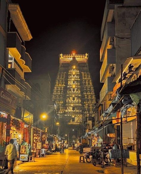 Telugu Ammai Aesthetic, Rameshwaram Temple Photography, Rameshwaram Temple, Tirupati Balaji Temple, Temple Gopuram, Temple Aesthetic, One Day Book, Temple Hindu, South Indian Temple